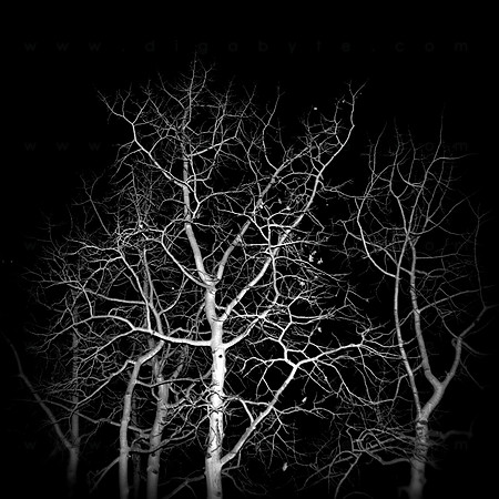 skeleton tree