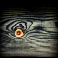 Wood Eye