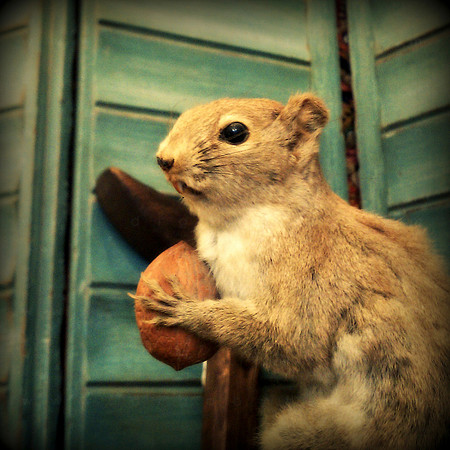 Aw, nuts.
